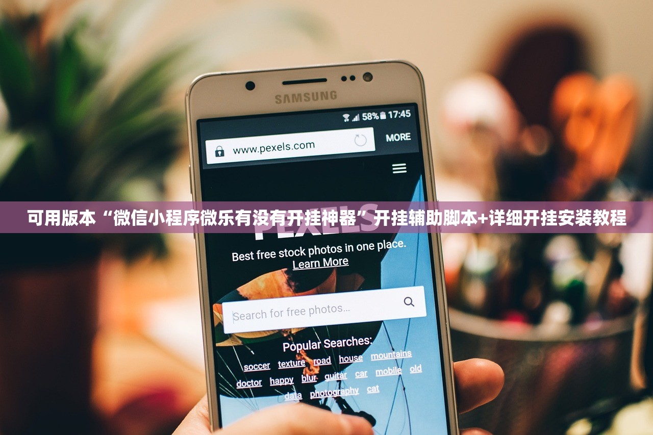 可用版本“微信小程序微乐有没有开挂神器”开挂辅助脚本+详细开挂安装教程