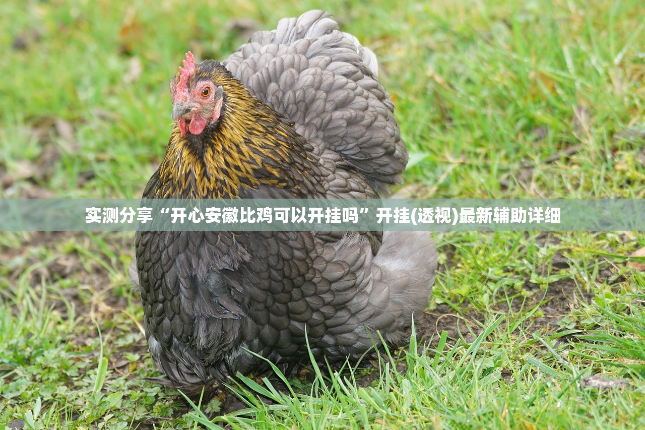 实测分享“开心安徽比鸡可以开挂吗”开挂(透视)最新辅助详细