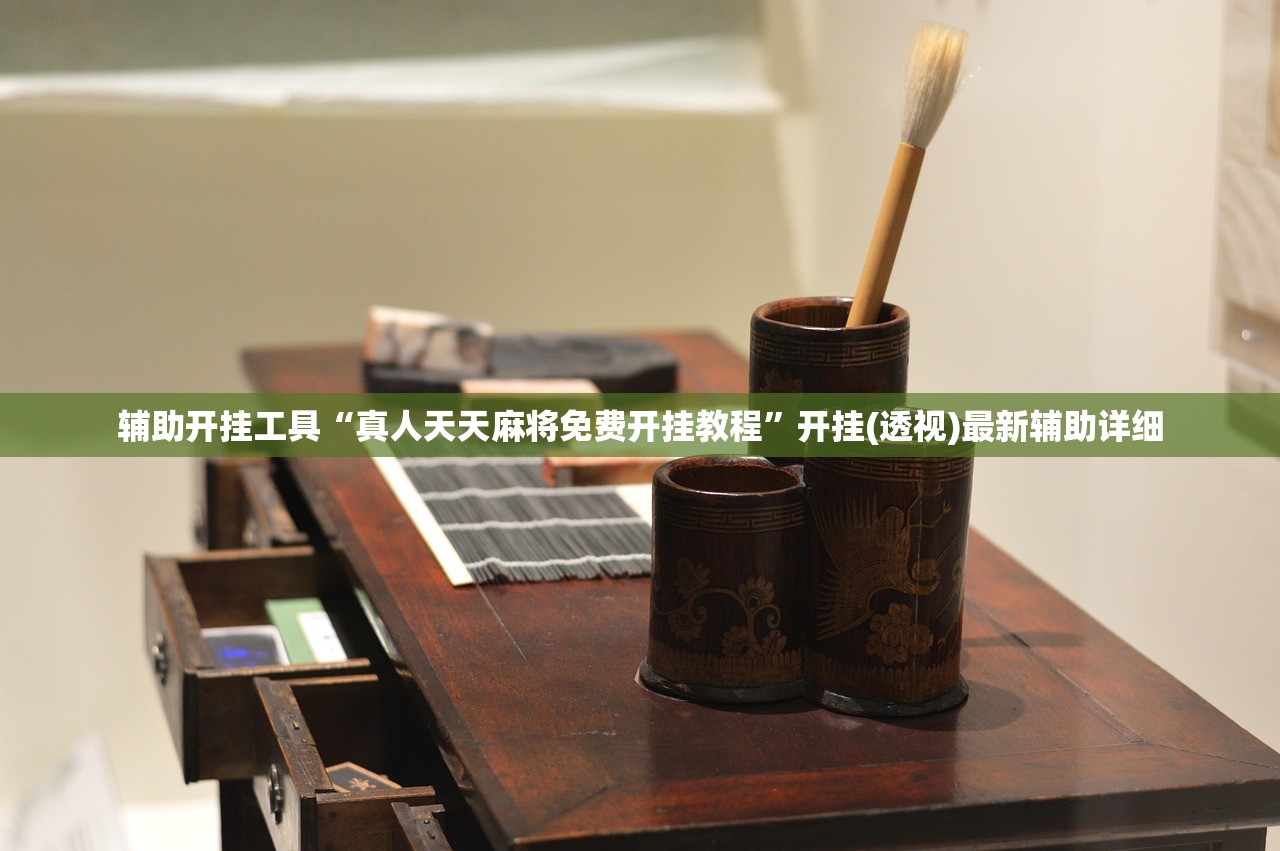 辅助开挂工具“真人天天麻将免费开挂教程”开挂(透视)最新辅助详细