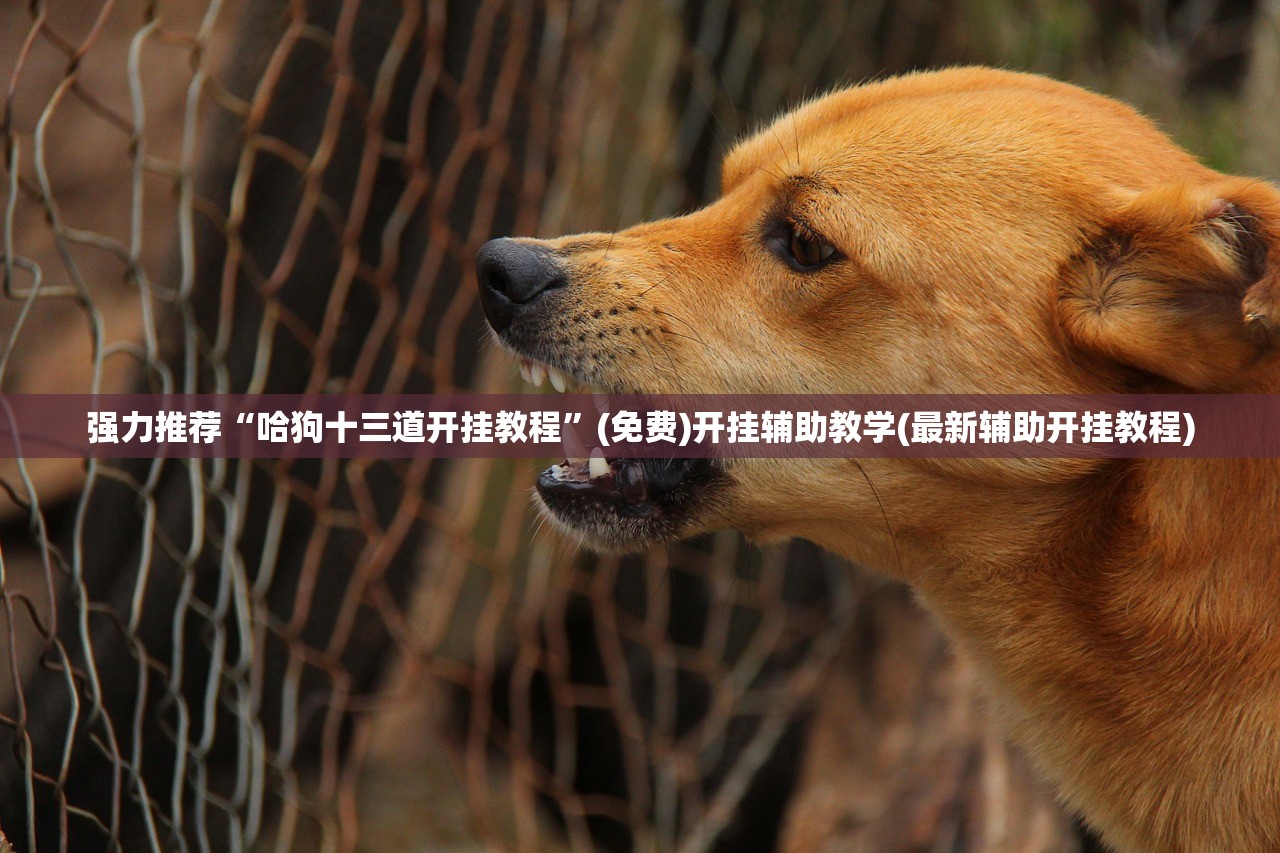 强力推荐“哈狗十三道开挂教程”(免费)开挂辅助教学(最新辅助开挂教程)
