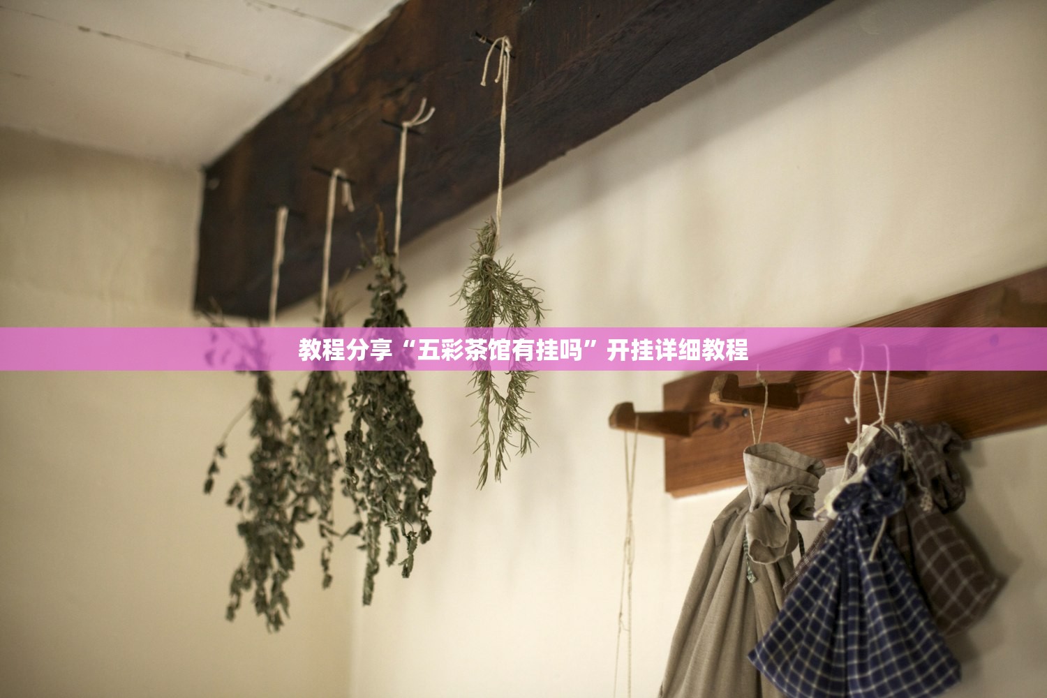 教程分享“五彩茶馆有挂吗”开挂详细教程