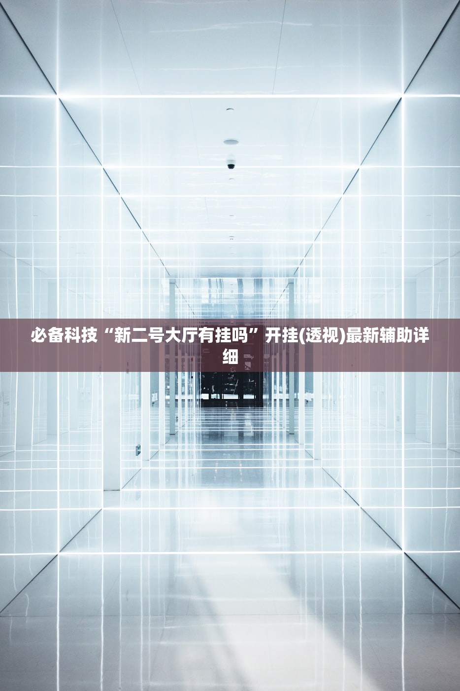 辅助神器“闲逸斗地主透视软件”(透视)其实确实有挂