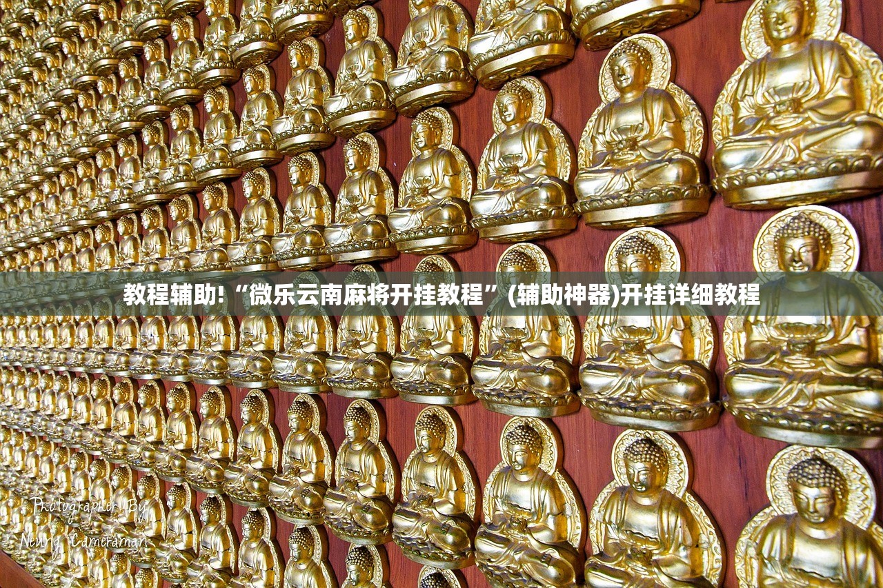 教程辅助!“微乐云南麻将开挂教程”(辅助神器)开挂详细教程