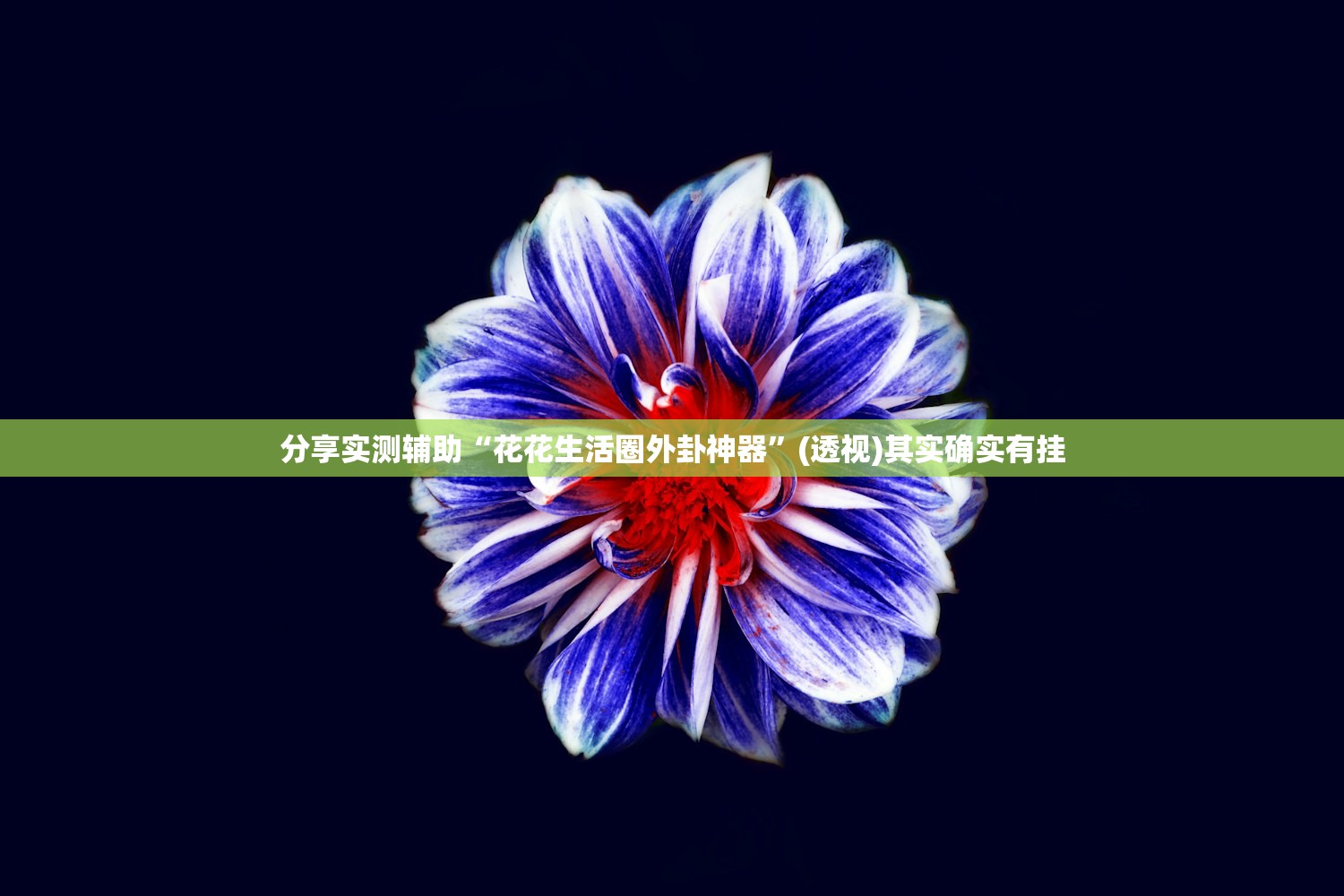 分享实测辅助“花花生活圈外卦神器”(透视)其实确实有挂