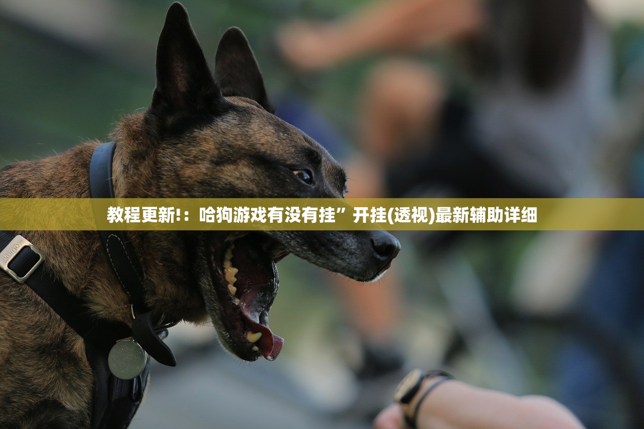 强力推荐“微乐麻将挂神器2025”详细开挂教程