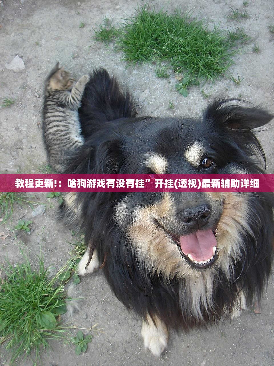 教程更新!：哈狗游戏有没有挂”开挂(透视)最新辅助详细