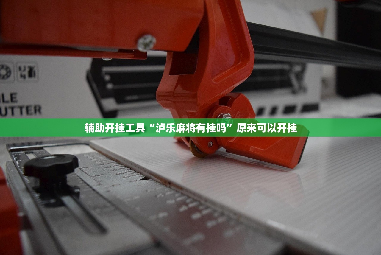 辅助开挂工具“泸乐麻将有挂吗	”原来可以开挂