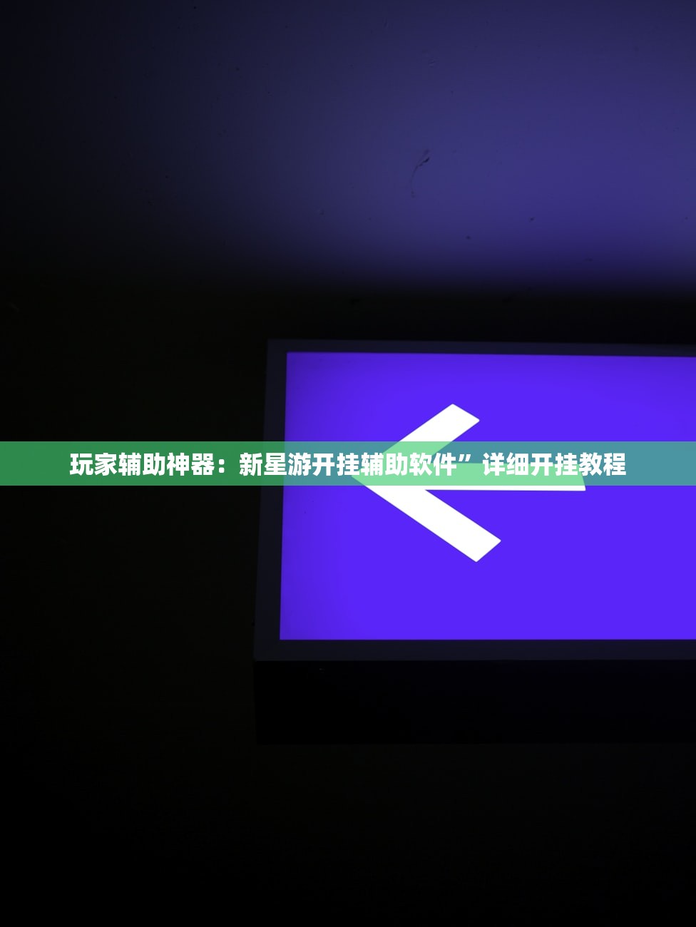 玩家辅助神器：新星游开挂辅助软件”详细开挂教程