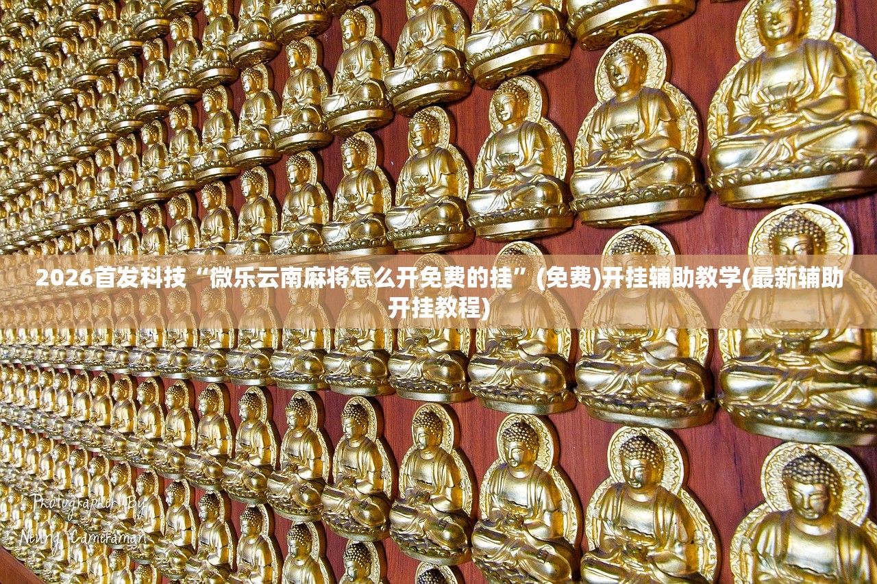 2026首发科技“微乐云南麻将怎么开免费的挂”(免费)开挂辅助教学(最新辅助开挂教程)