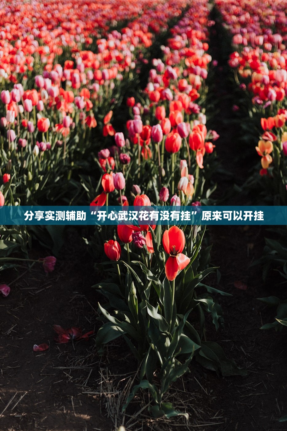 今日教程“微信小程序麻将怎么控制输赢”(透视挂)辅助下载教程