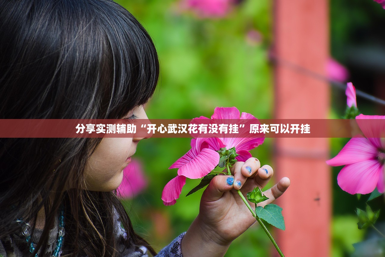 分享实测辅助“开心武汉花有没有挂”原来可以开挂