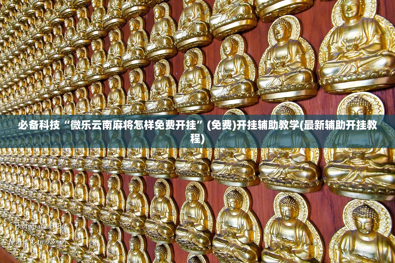 必备科技“微乐云南麻将怎样免费开挂”(免费)开挂辅助教学(最新辅助开挂教程)