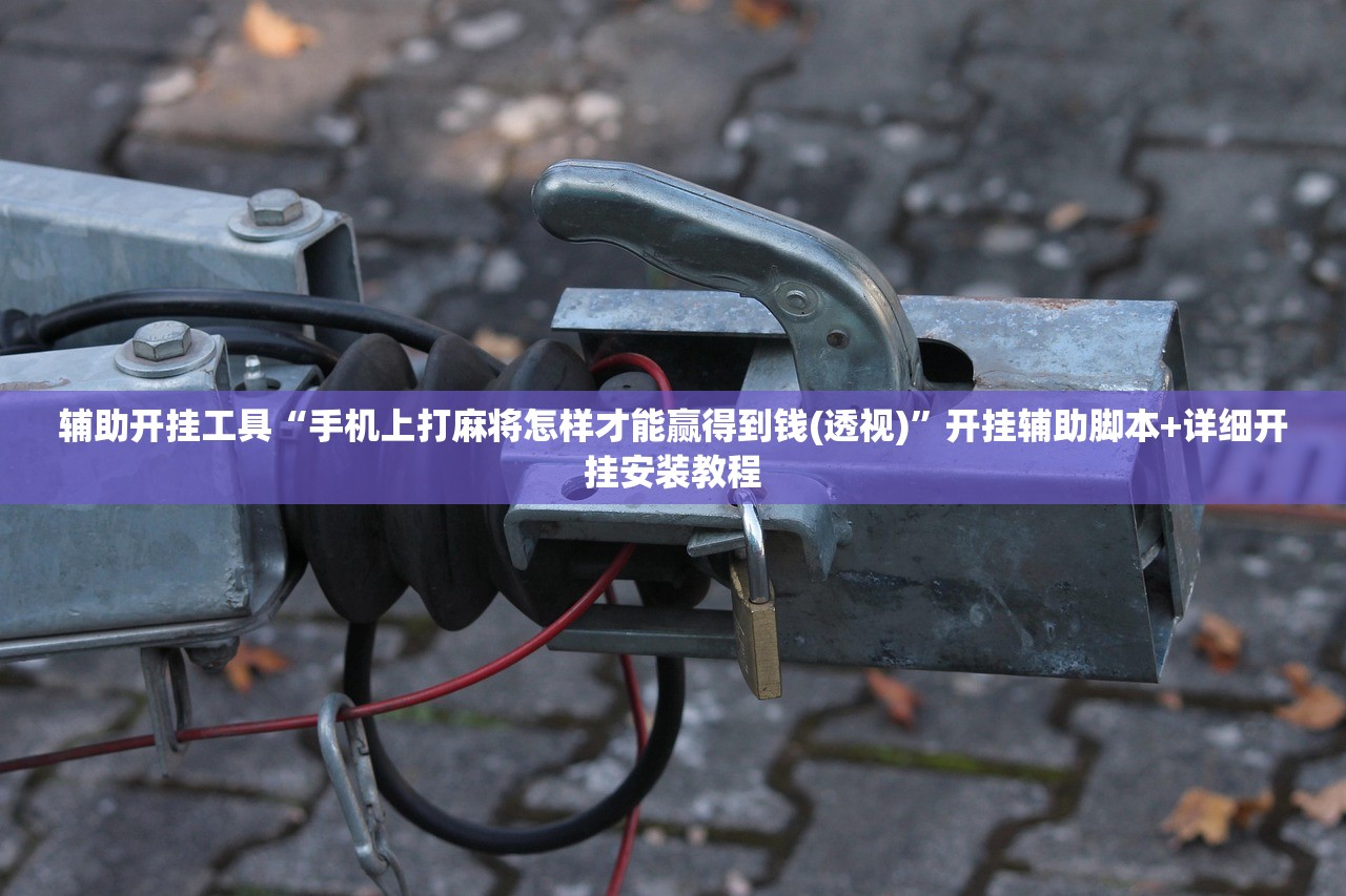 辅助开挂工具“手机上打麻将怎样才能赢得到钱(透视)	”开挂辅助脚本+详细开挂安装教程
