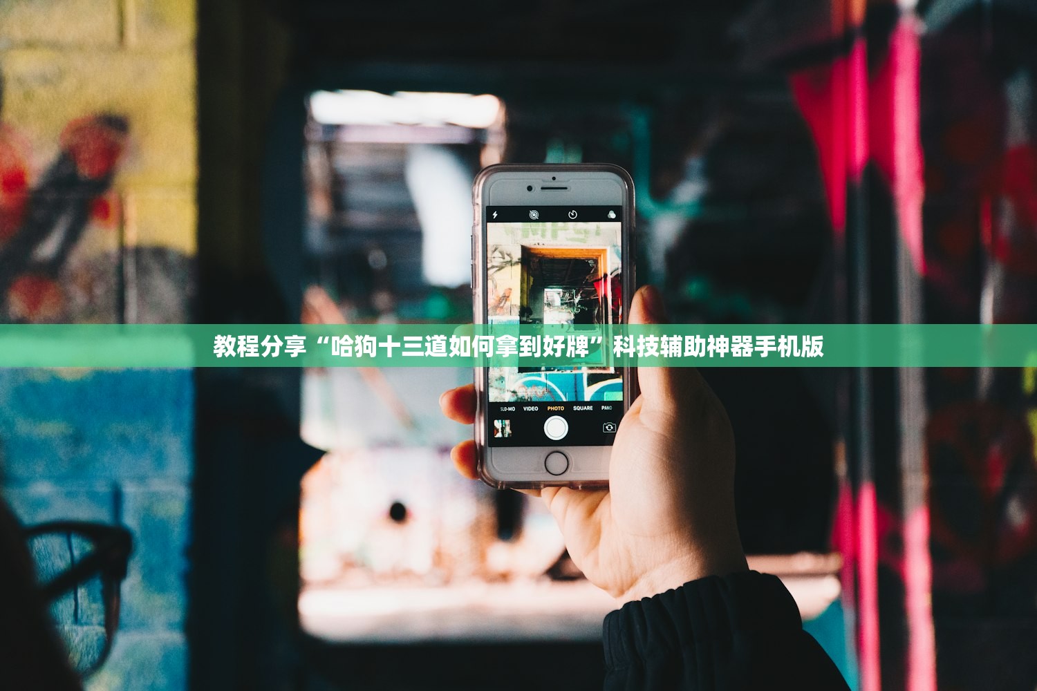 教程分享“哈狗十三道如何拿到好牌”科技辅助神器手机版