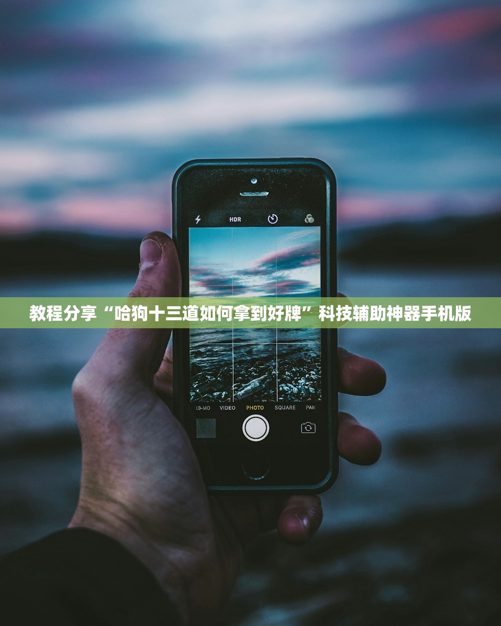教程分享“哈狗十三道如何拿到好牌”科技辅助神器手机版