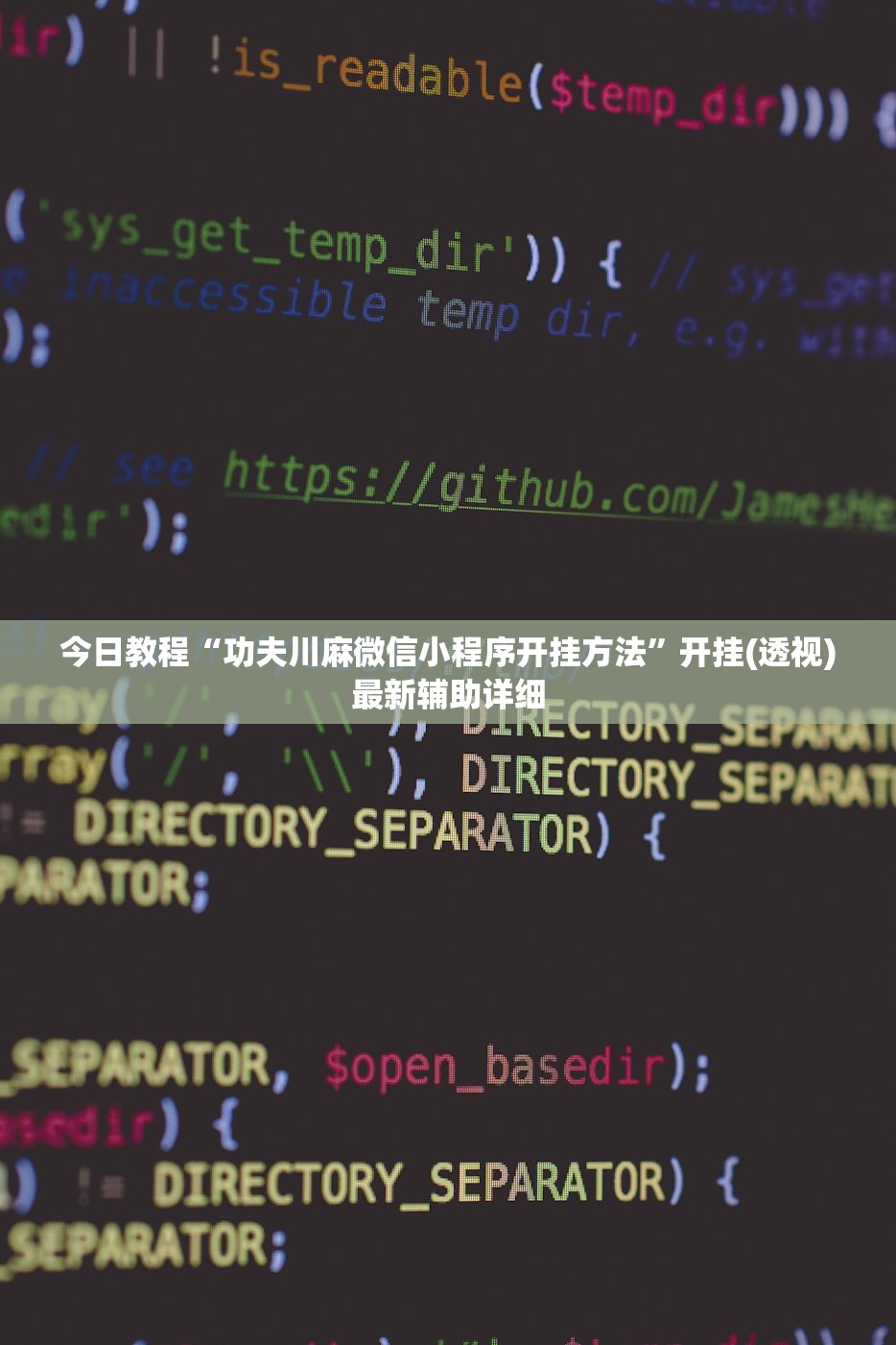 今日教程“功夫川麻微信小程序开挂方法”开挂(透视)最新辅助详细