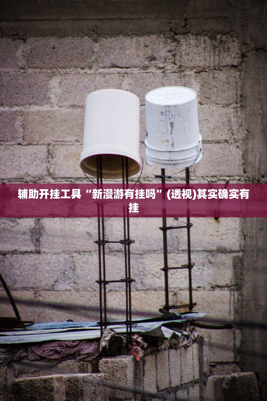 辅助开挂工具“新漫游有挂吗”(透视)其实确实有挂