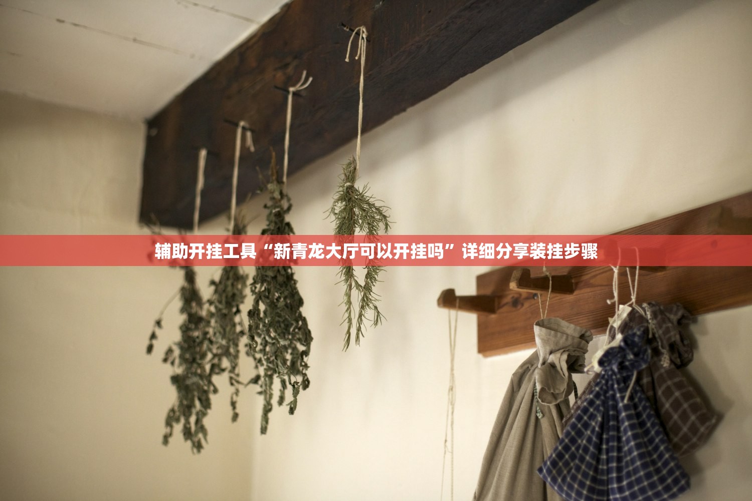 辅助开挂工具“新青龙大厅可以开挂吗”详细分享装挂步骤