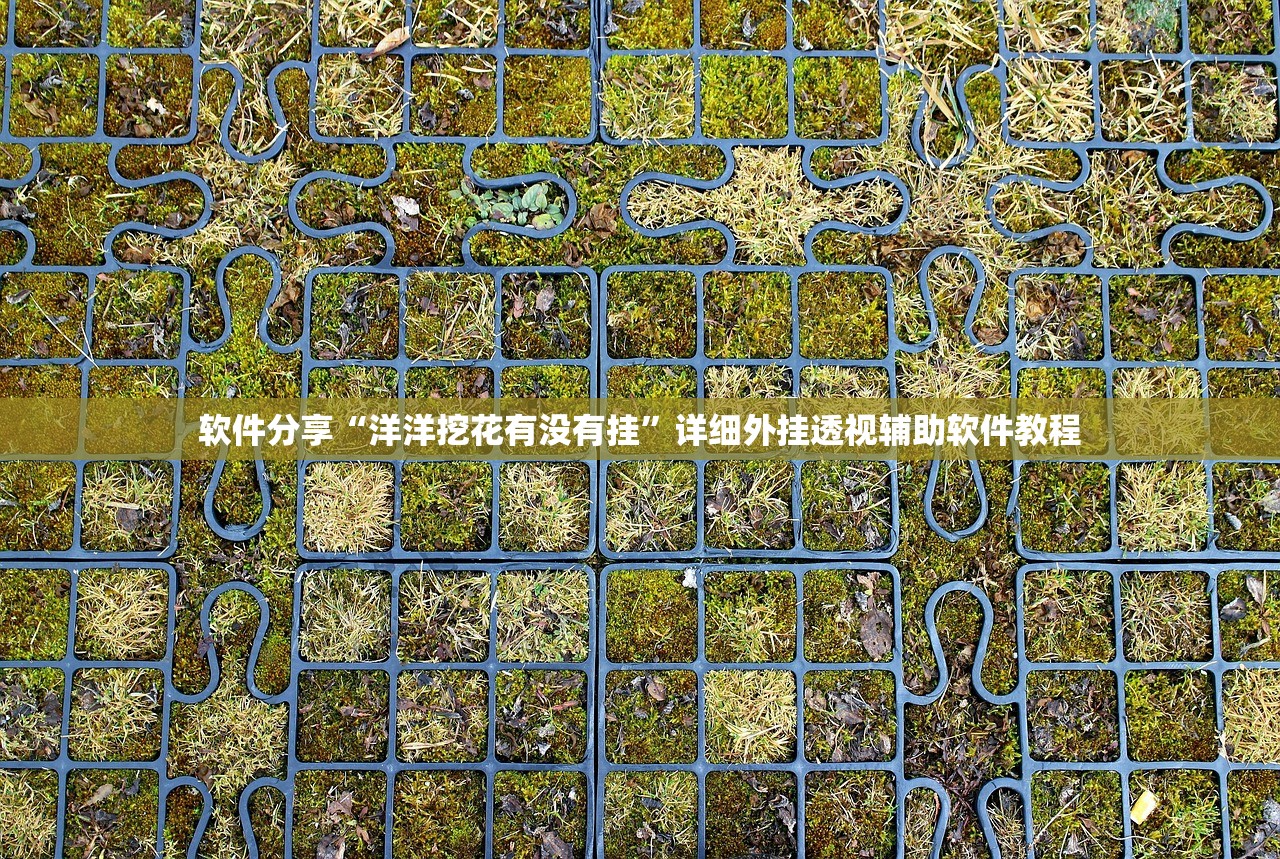 软件分享“洋洋挖花有没有挂”详细外挂透视辅助软件教程