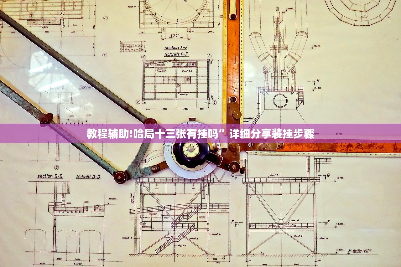 教程辅助!哈局十三张有挂吗	”详细分享装挂步骤
