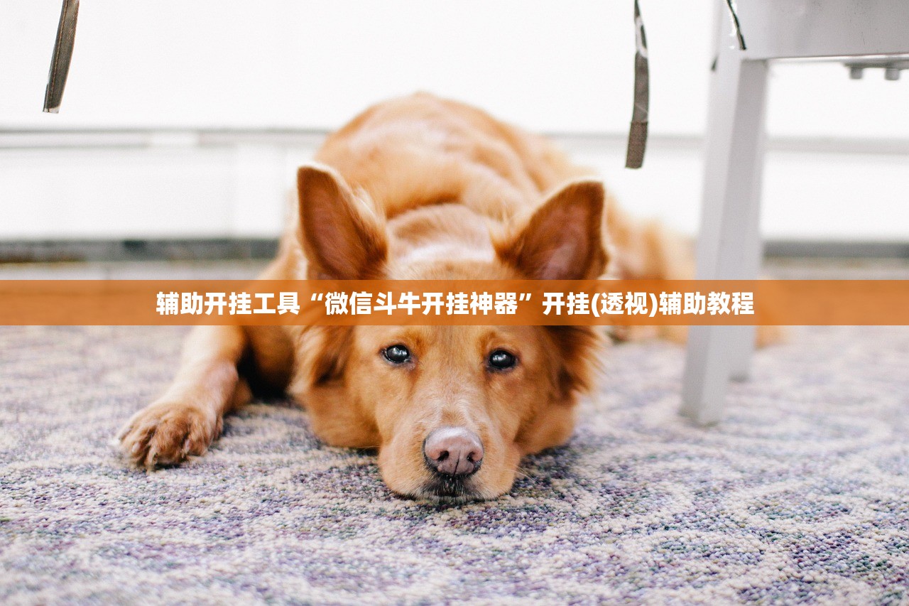 辅助开挂工具“微信斗牛开挂神器	”开挂(透视)辅助教程