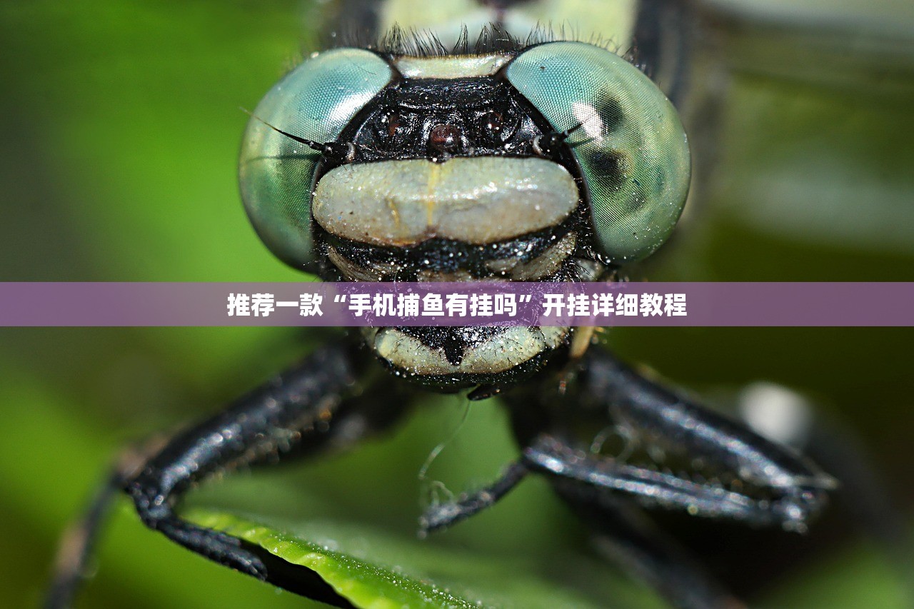 推荐一款“手机捕鱼有挂吗”开挂详细教程