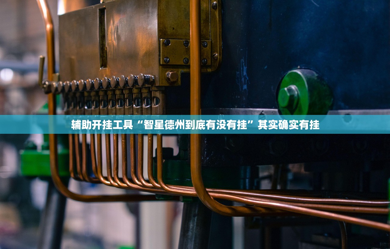 辅助开挂工具“智星德州到底有没有挂”其实确实有挂