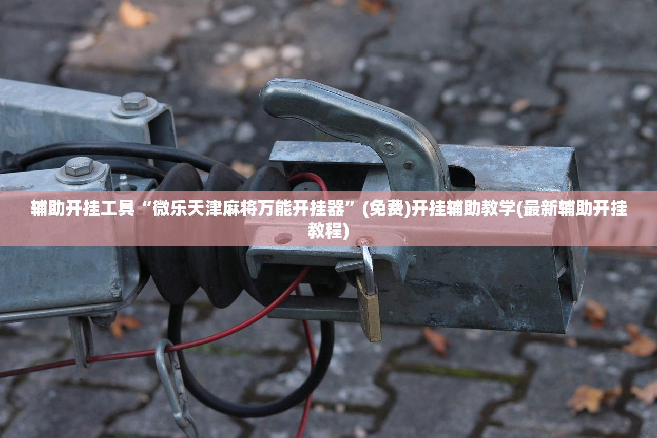 玩家必读“山西扣点点麻将开挂辅助器通用版”详细分享装挂步骤