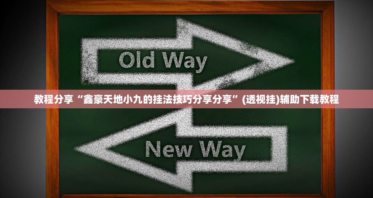 教程分享“鑫豪天地小九的挂法技巧分享分享”(透视挂)辅助下载教程