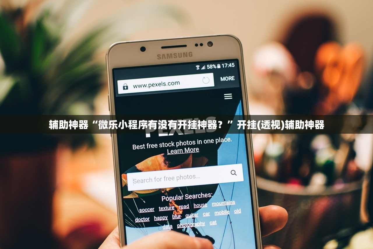 辅助神器“微乐小程序有没有开挂神器？”开挂(透视)辅助神器