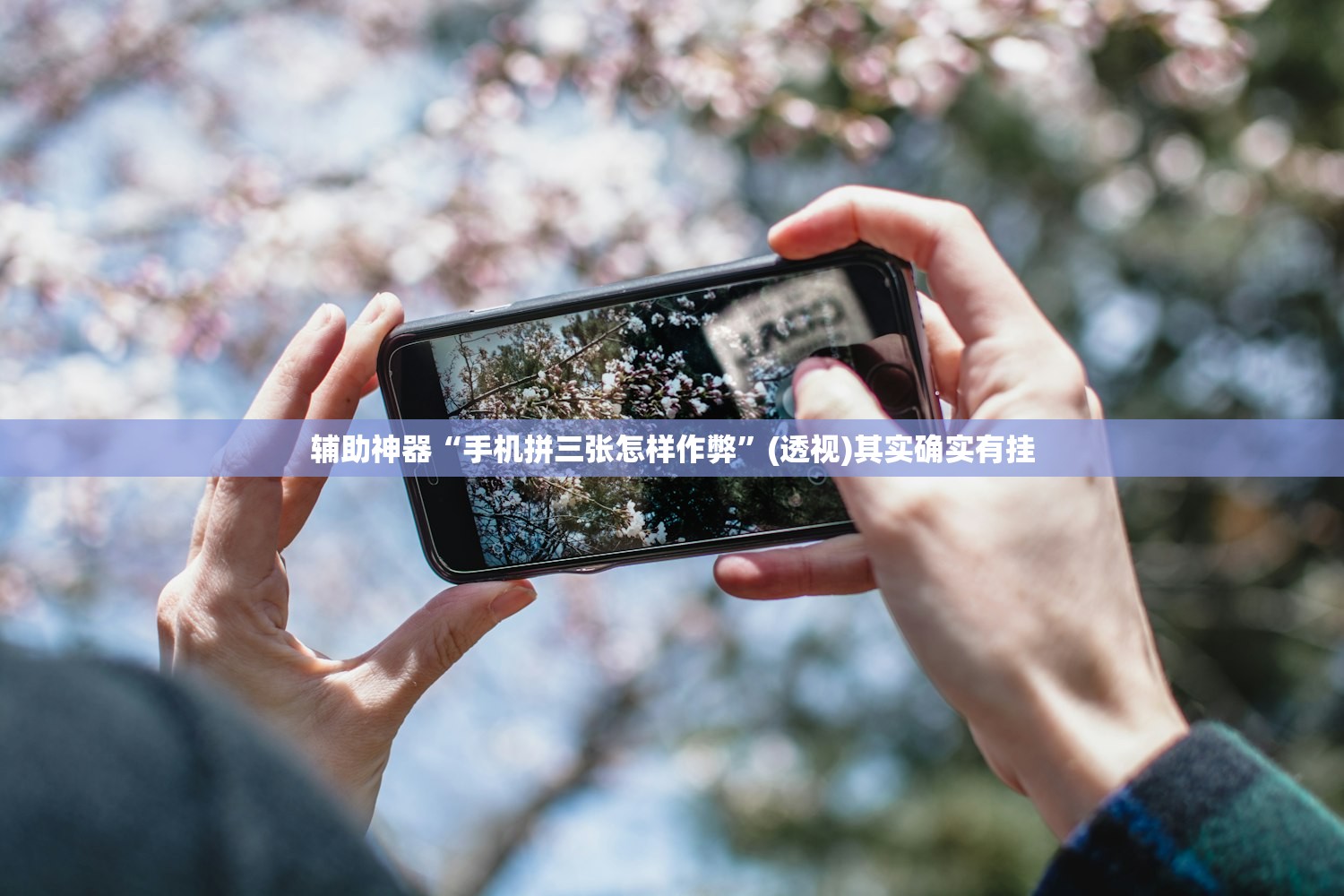 辅助神器“手机拼三张怎样作弊”(透视)其实确实有挂