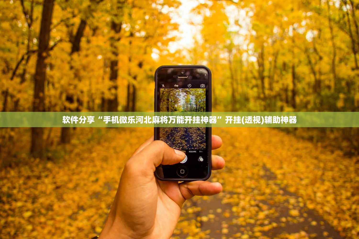 软件分享“手机微乐河北麻将万能开挂神器	”开挂(透视)辅助神器