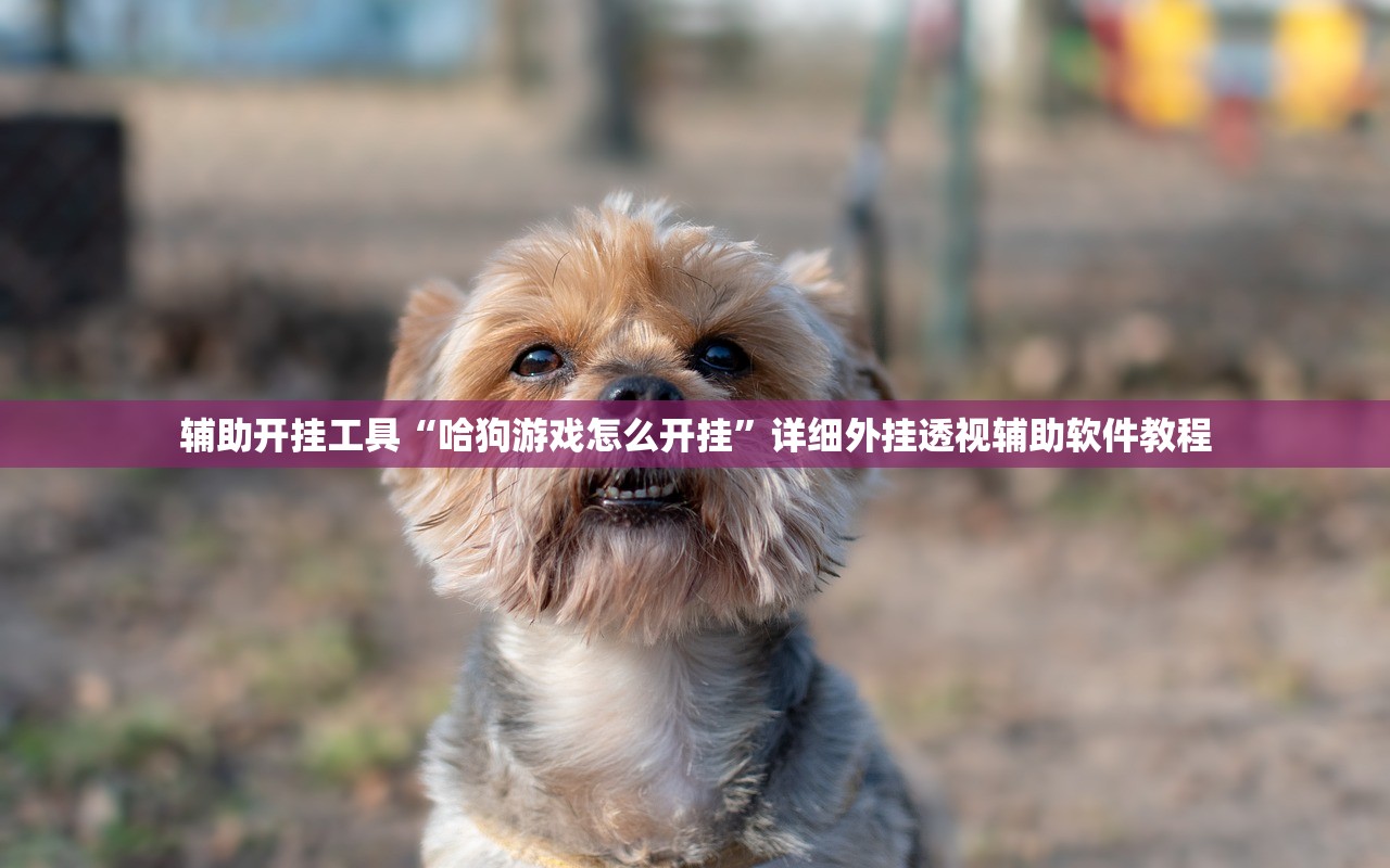 【邢台解封/邢台市疫情解封】