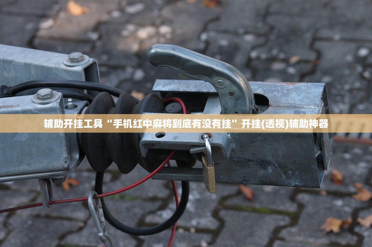 辅助开挂工具“手机红中麻将到底有没有挂”开挂(透视)辅助神器