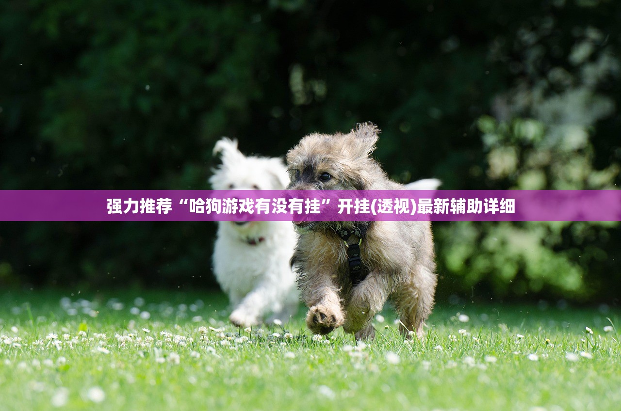 【电脑出租疫情,电脑出租一般多少钱】