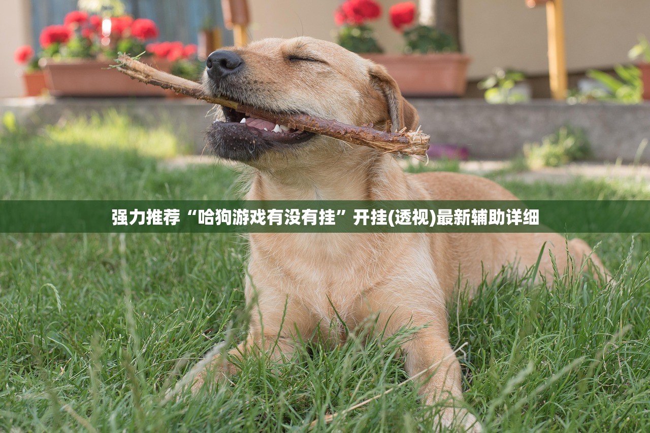 强力推荐“哈狗游戏有没有挂”开挂(透视)最新辅助详细
