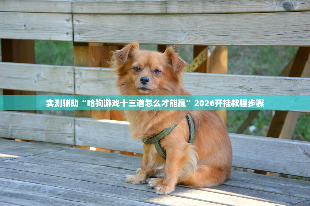 教程辅助!“微信小程序微乐江苏麻将有挂吗”(透视挂)辅助下载教程