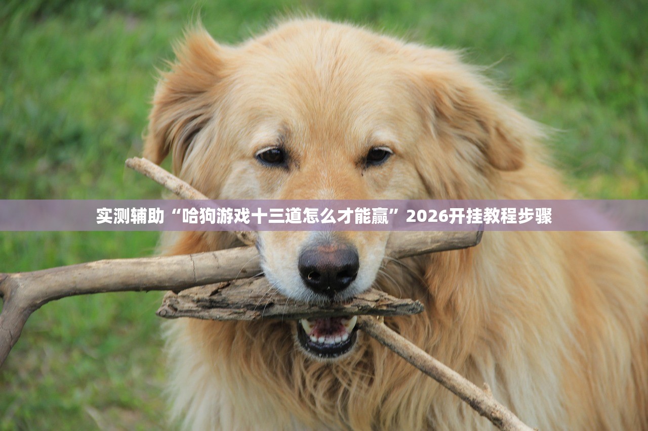 实测辅助“哈狗游戏十三道怎么才能赢”2026开挂教程步骤