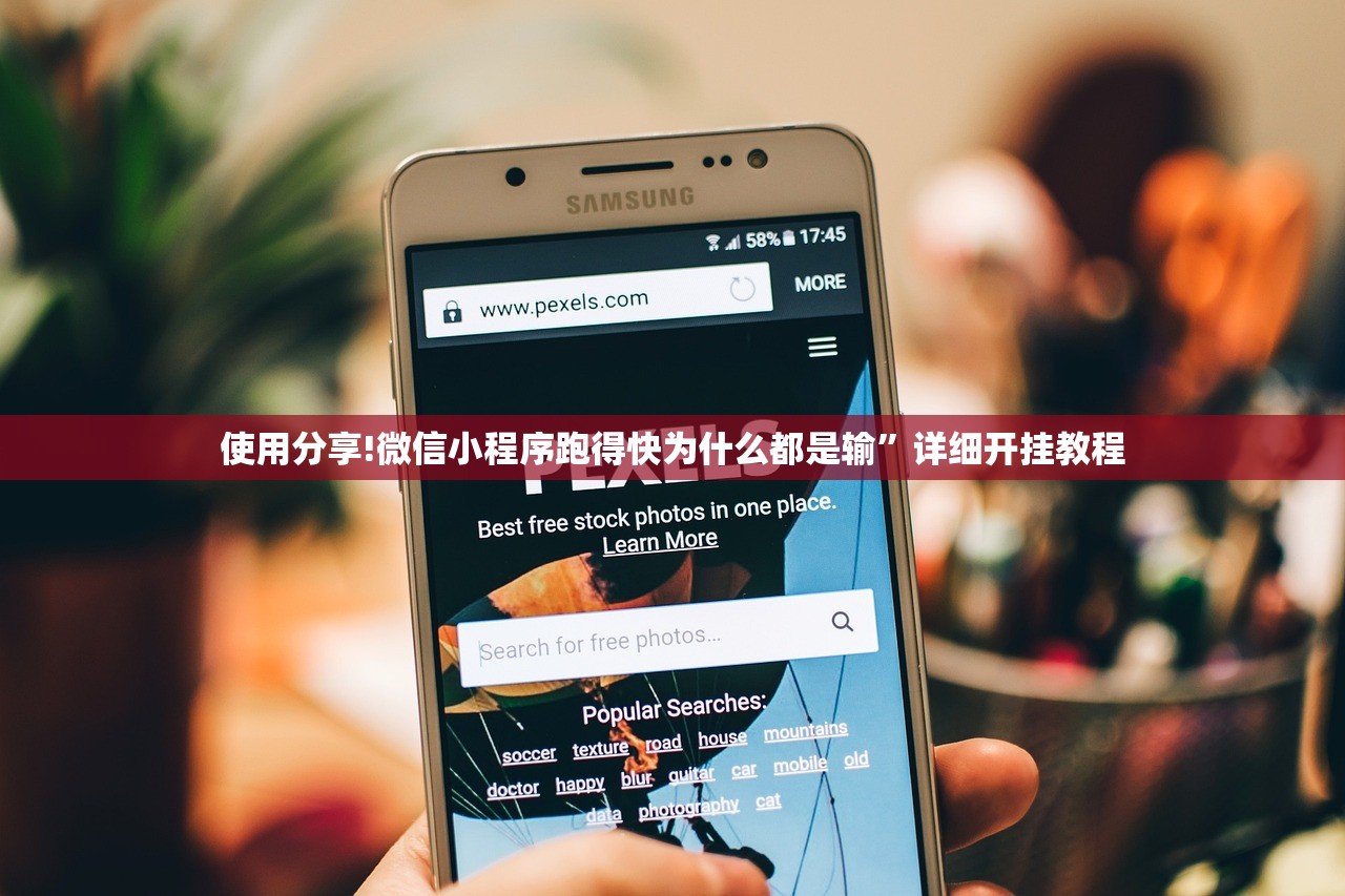 使用分享!微信小程序跑得快为什么都是输	”详细开挂教程