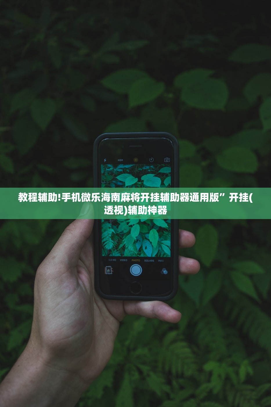 教程辅助!手机微乐海南麻将开挂辅助器通用版”开挂(透视)辅助神器