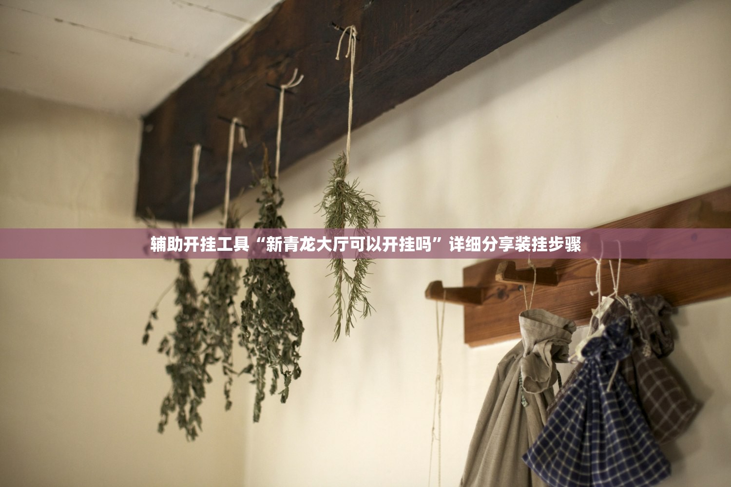 辅助开挂工具“新青龙大厅可以开挂吗”详细分享装挂步骤