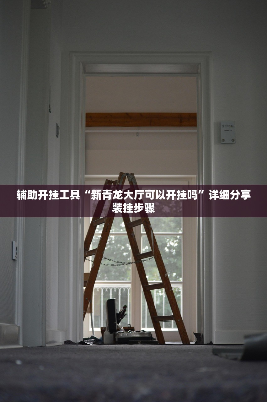 辅助开挂工具“新青龙大厅可以开挂吗”详细分享装挂步骤