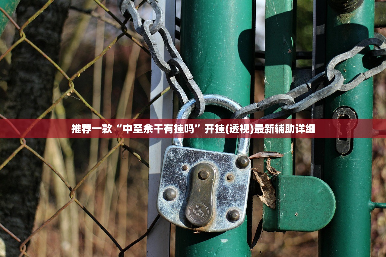 玩家辅助神器：创宇竞技可以开挂吗”开挂详细教程