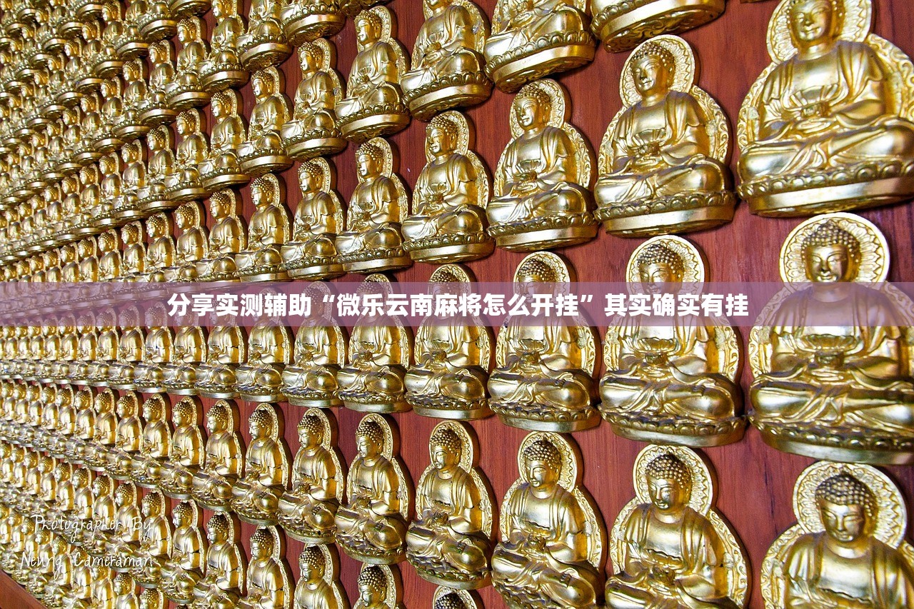 分享实测辅助“微乐云南麻将怎么开挂”其实确实有挂
