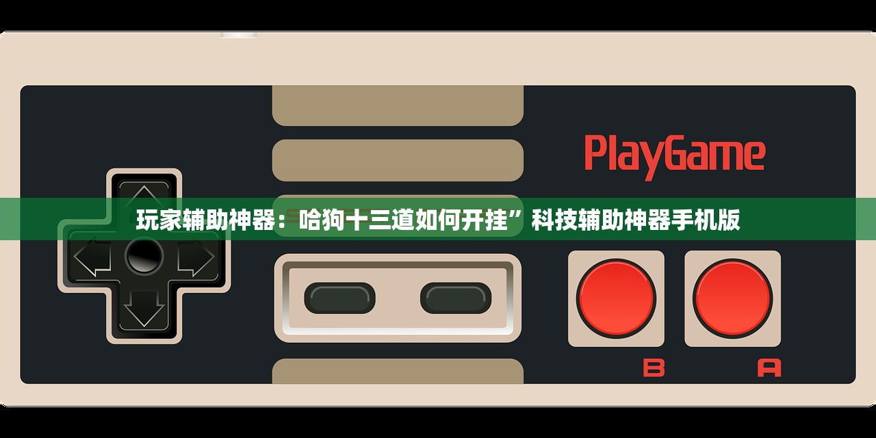 玩家辅助神器：哈狗十三道如何开挂”科技辅助神器手机版