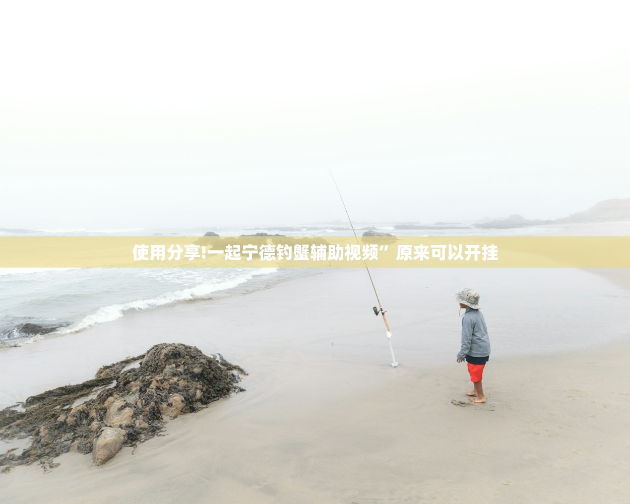 【营口疫情/营口疫情最新数据消息】