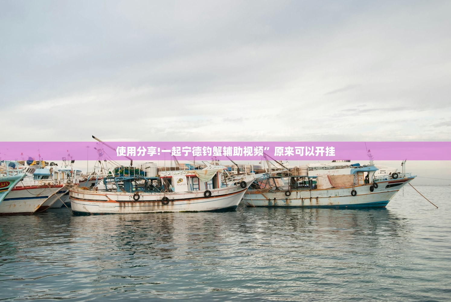 使用分享!一起宁德钓蟹辅助视频”原来可以开挂