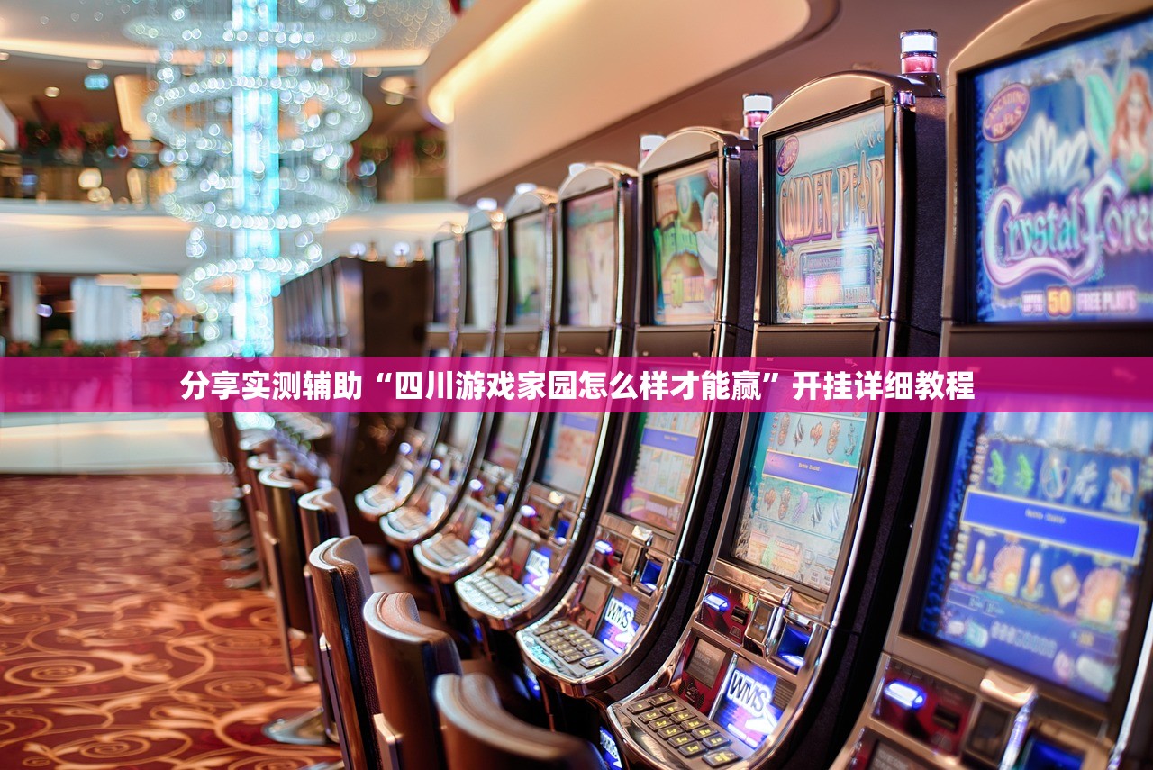 分享实测辅助“四川游戏家园怎么样才能赢”开挂详细教程