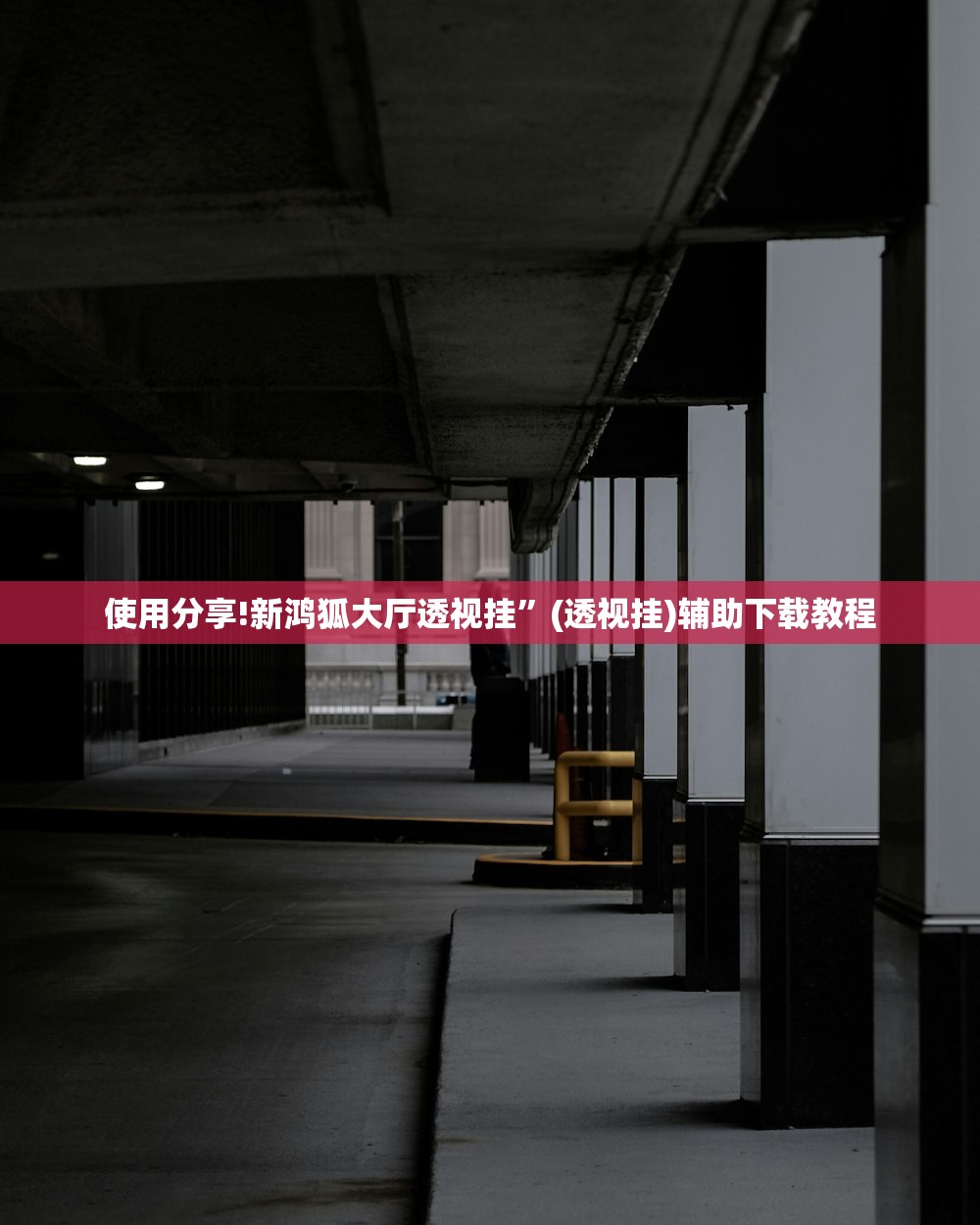 使用分享!新鸿狐大厅透视挂”(透视挂)辅助下载教程