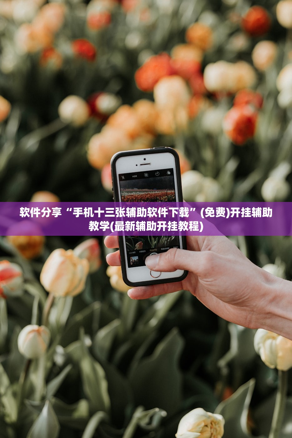 软件分享“手机十三张辅助软件下载”(免费)开挂辅助教学(最新辅助开挂教程)